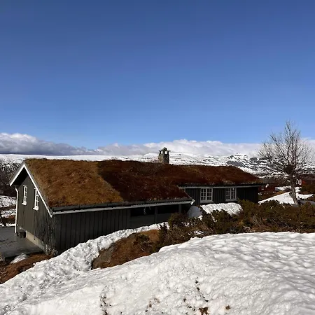 A Peaceful Mountain Retreat Beitostolen