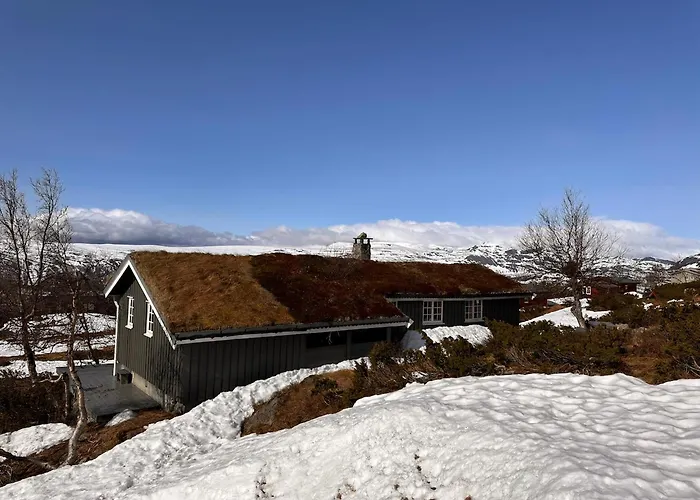 A Peaceful Mountain Retreat Beitostolen
